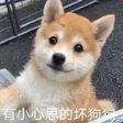 HeskeyBaozi