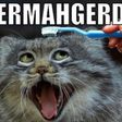 MrDjeb