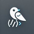bravebirdy