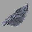 harpy-wings