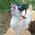 scalemaildev