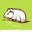 windx-foobar