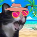 BruceShih