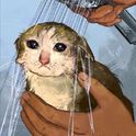 JoCat