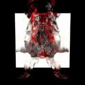 MetalSamurai666