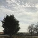 Pyrodash
