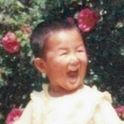 bluicezhen