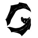 gacek1123