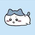 gaomingzhao666