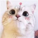 jiangmaniu