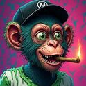 rafamaciel