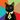 scaccogatto